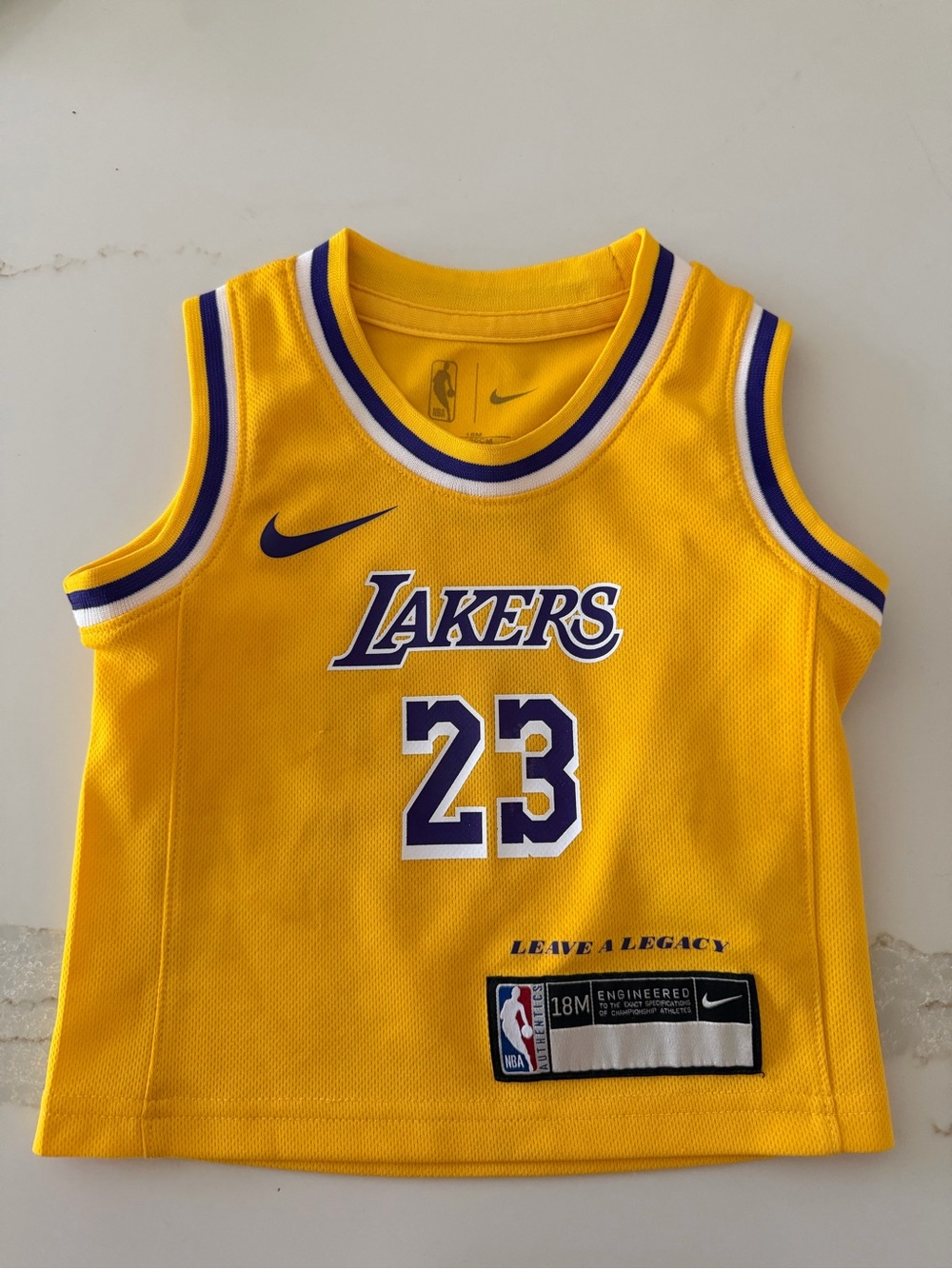 Nike Kids Los Angeles Lakers Jersey in Yellow and Purple (23)